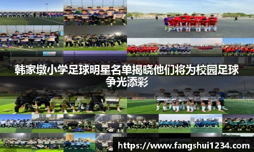 韩家墩小学足球明星名单揭晓他们将为校园足球争光添彩